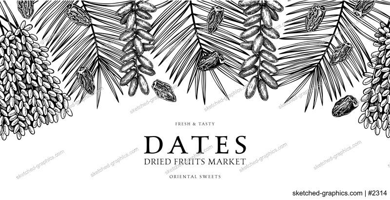 Hand drawn border design with date palm leaves and ripe fruit illustrations. Healthy food ingredients sketches isolated on chalkboard. Oriental sweets vector background. Vintage dried dates background