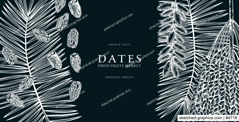 Hand drawn border design with date palm leaves and ripe fruit illustrations. Healthy food ingredients sketches isolated on chalkboard. Oriental sweets vector background. Vintage dried dates background