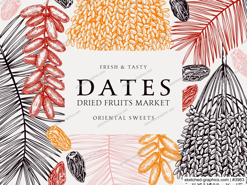 Hand drawn  frame design with date palm leaves and dried fruits sketches in engraved style. Sketched vegan food ingredients vector background. Oriental sweets - dried dates banner template in color