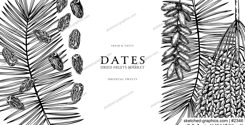 Healthy food background with dates palm leaves and dried fruits sketches. Hand drawn oriental sweets border design isolated on white backdrop. Vintage ripe dates banner template in vintage style