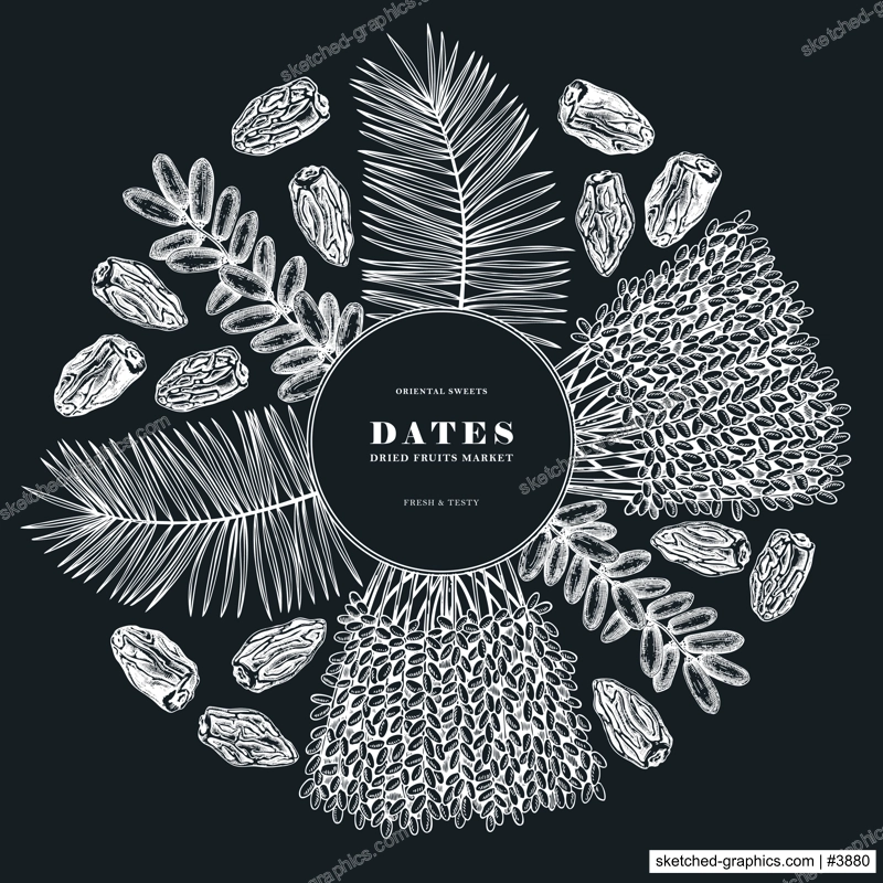 Hand drawn dates leaves, fresh and dried fruits, palm sketches wreath. Dehydrated fruit in engraved style design on chalkboard. Oriental sweets illustration. Vintage dried dates packaging template
