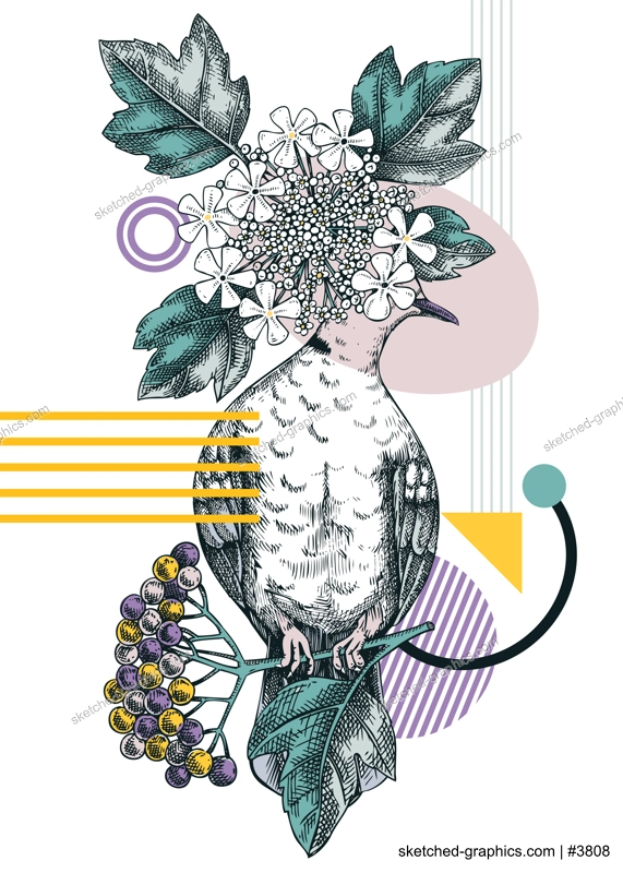 Collage style dove vector illustration. Hand-drawn bird on blooming guelder rose branches with flowers, berries, leaves. Trendy design with botanical sketches, geometric shapes, and abstract elements.