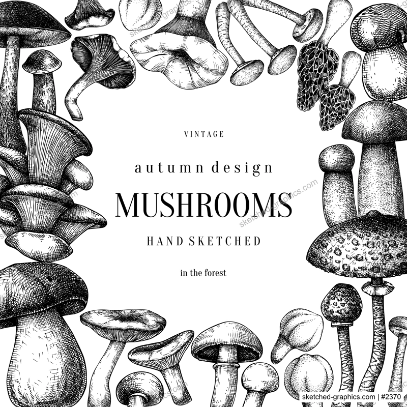Edible mushrooms background. Hand drawn vector illustration. Forest mushroom sketches. NOt AI generated