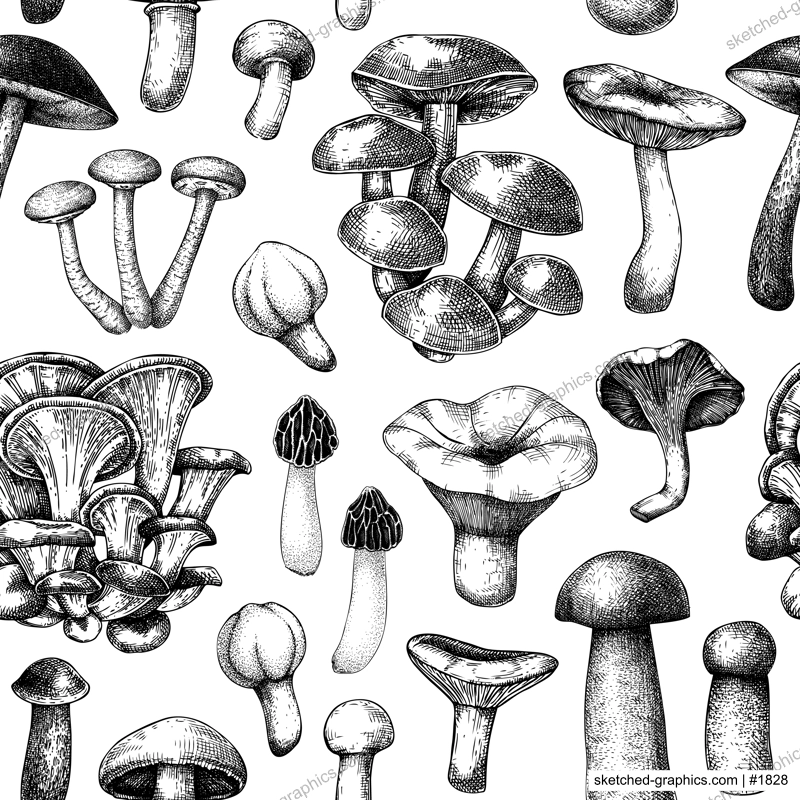 Edible mushrooms background. Healthy food seamless pattern. Forest mushroom sketch. Hand-drawn vector illustration. NOT AI generated