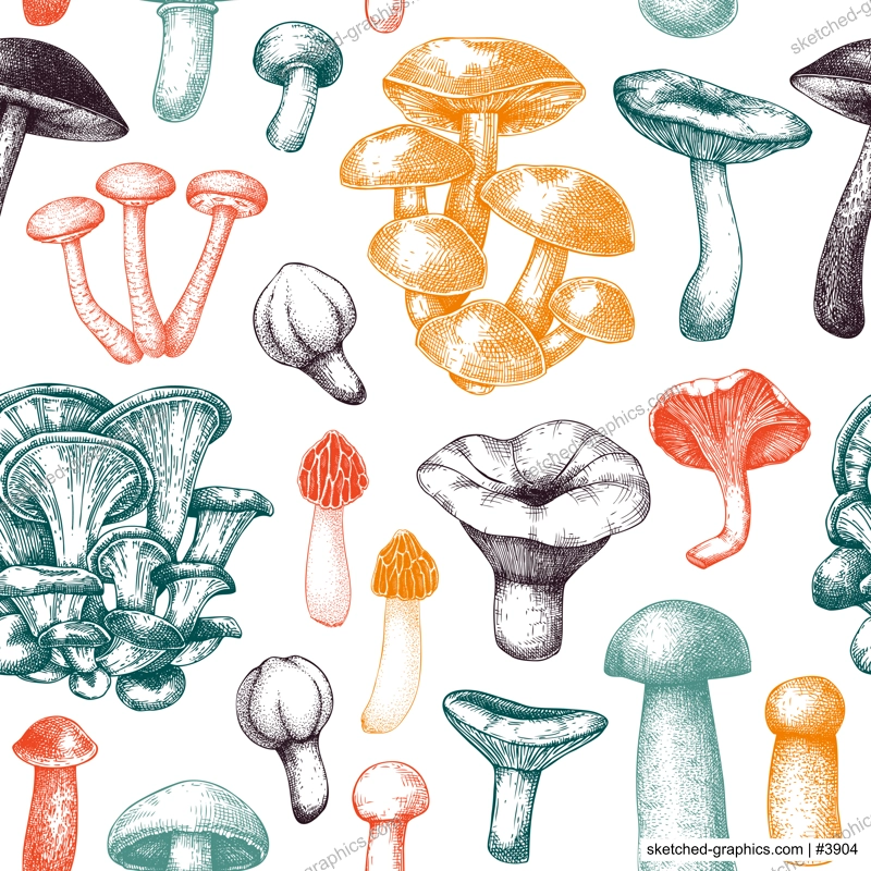 Edible mushrooms background. Healthy food seamless pattern. Forest mushroom sketch. Hand-drawn vector illustration. NOT AI generated