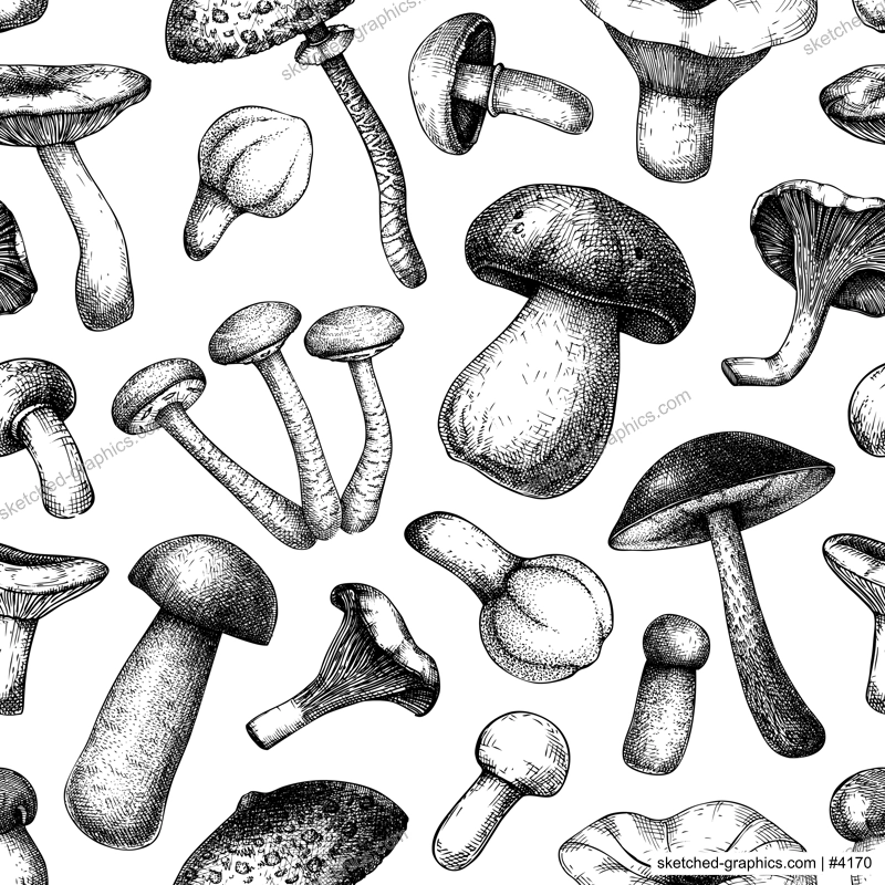 Edible mushrooms seamless pattern. Hand drawn food background. Forest plants sketches for recipe, menu, label, icon, packaging. Vintage fungi texture design. Botanical illustration