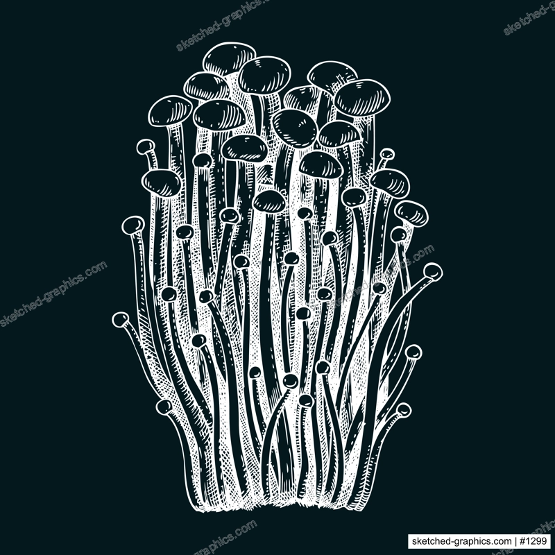 Enioki mushroom sketch. Edible fungus illustration on chalkboard. Fungal protein, mycoprotein, plant-based product ingredients, healthy food design element. Enokitake mushroom drawing