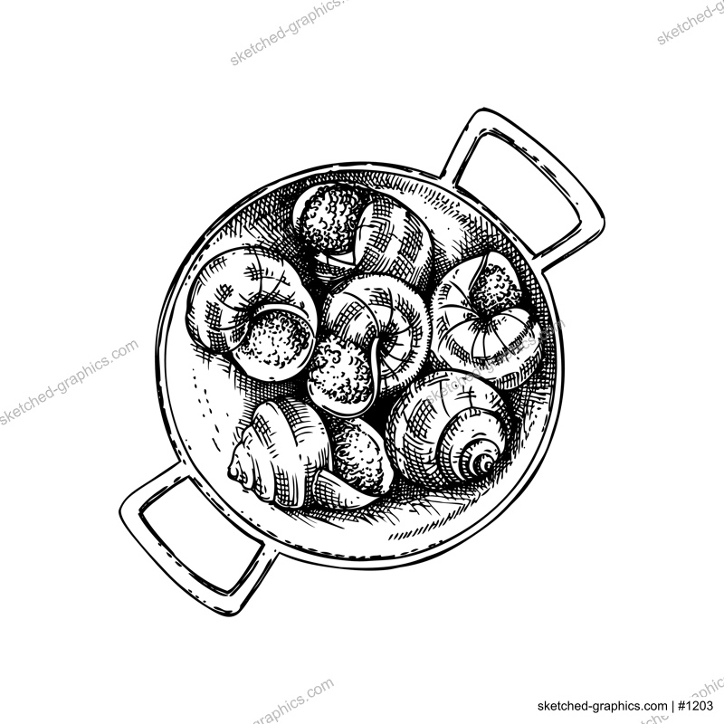 Escargot vintage drawing. Traditional food from France sketch. French restaurant menu design. Edible snails  Hand-drawn food illustration, NOT AI generated