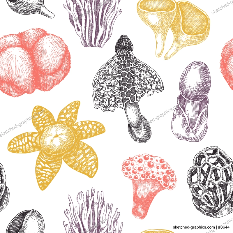 Exotic mushroom background. Hand-drawn fungi illustration in vintage style. Exotic forest plant seamless pattern. Weird mushroom texture design in color