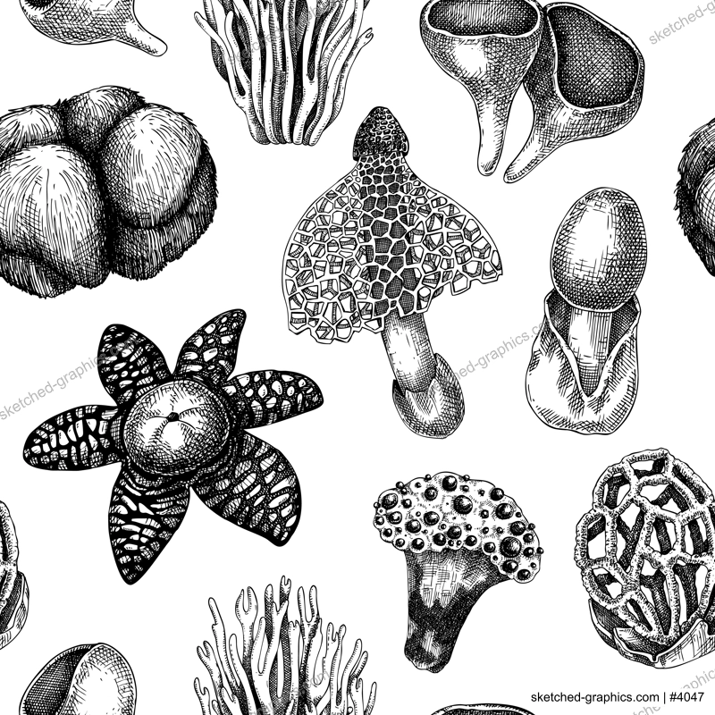Exotic mushroom background. Hand-drawn fungi illustration in vintage style. Exotic forest plant seamless pattern. Weird mushroom sketches, texture design