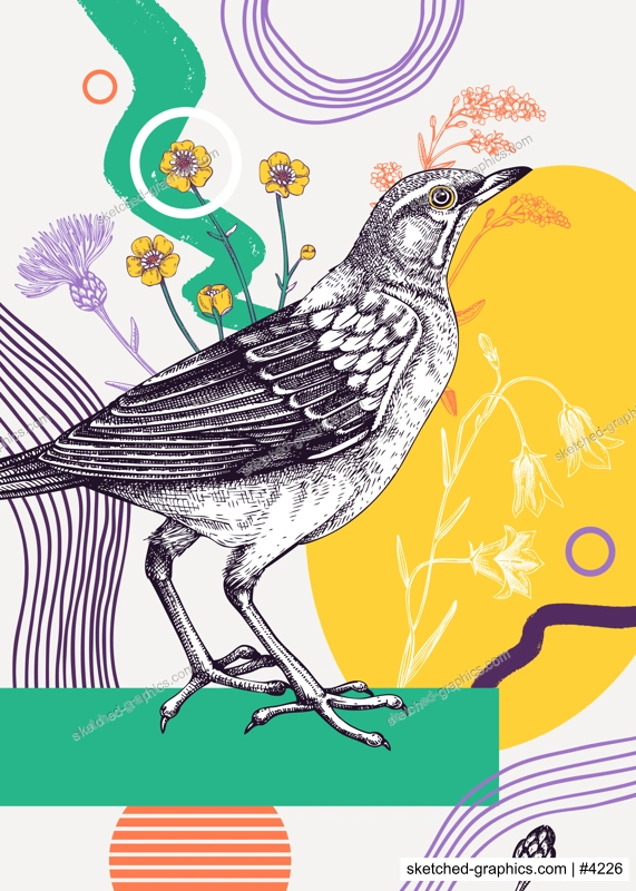 Collage-style bird card. Sketched eyebrowed thrush trendy poster. Creative designs with bird sketch, botanical illustrations, geometric shapes, and abstract element for nature print, wall art, poster