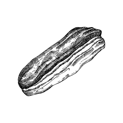Eclair vintage drawing. European food, pastry, dessert sketch. French bakery design element. France hand-drawn food illustration, NOT AI generated