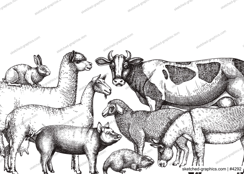 Hand-sketched farm animals vector banner. Cow, lama, donkey, goat, rabbit, sheep and other vintage animals on white background. Farm hand-drawings perfect for label, icon, packaging, banners, books.