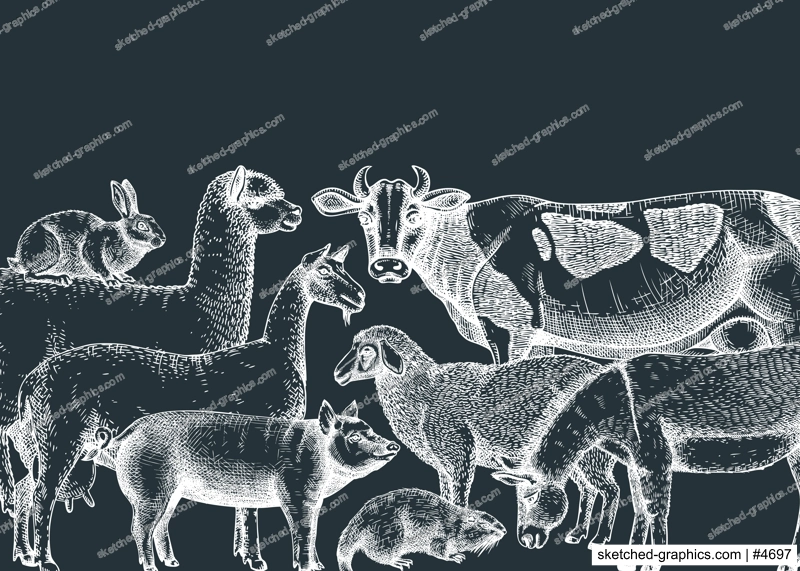 Hand-sketched farm animals vector banner on chalkboard. Cow, lama, donkey, goat, rabbit, sheep and other vintage animals. Farm hand-drawings perfect for label, icon, packaging, banners, books.
