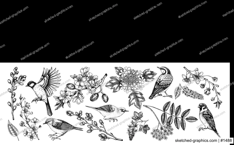 Flowering branches and birds drawings collection. Vintage cherry, almond, willow, rowan, currant flowers sketches set. Botanical vector illustrations of spring blooming trees isolated white background