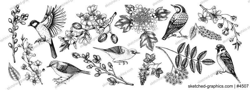 Flowering branches and birds drawings collection. Hand-drawn cherry, almond, willow, currant flower sketches set. Botanical vector illustrations of spring blooming trees isolated on white background