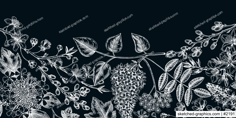 Flowering branches vintage background. Hand drawn almond, willow, rowan, currant, lilac, cherry blossom sketches. Botanical vector banner design of spring trees in flowers on chalkboard. Vintage card 