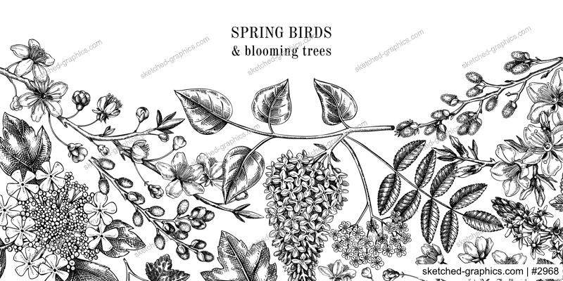 Flowering branches vintage background. Hand drawn almond, willow, rowan, currant, lilac, cherry blossom sketches. Botanical vector banner design of spring trees in flowers isolated on white 