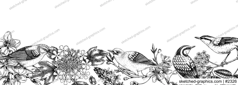 Flowering trees with birds banner. Vintage frame designs with birds, flowers, blooming branches sketches. Hand drawn almond, willow, rowan, willow, cherry blossom isolated on white background