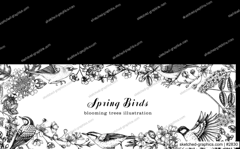 Flowering trees with birds banner. Vintage frame designs with birds, flowers, blooming branches sketches. Hand drawn almond, willow, rowan, willow, cherry blossom isolated on white background