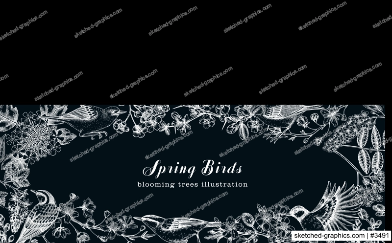 Flowering trees with birds banner. Vintage frame designs with birds, flowers, blooming branches sketches. Hand drawn almond, willow, rowan, willow, cherry blossom isolated on chalkboard