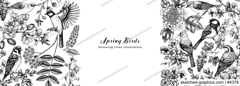 Flowering trees with birds banner. Vintage frame designs with birds, flowers, blooming branches sketches. Hand drawn almond, willow, rowan, willow, cherry blossom isolated on white background