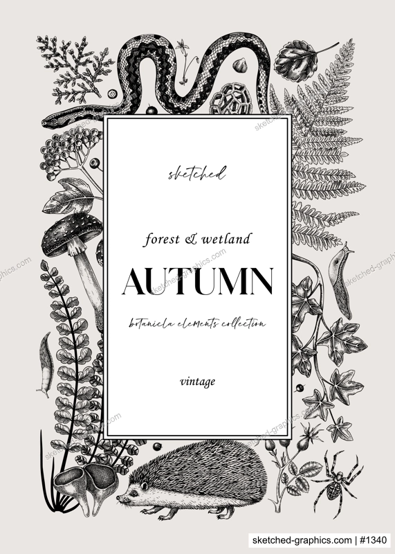 Forest vector greeting card and invitation. Hand-drawn autumn plants, fall leaves, mushrooms, ferns, woodland animals sketches. Decorative autumn background in vintage style for banner, print, wedding