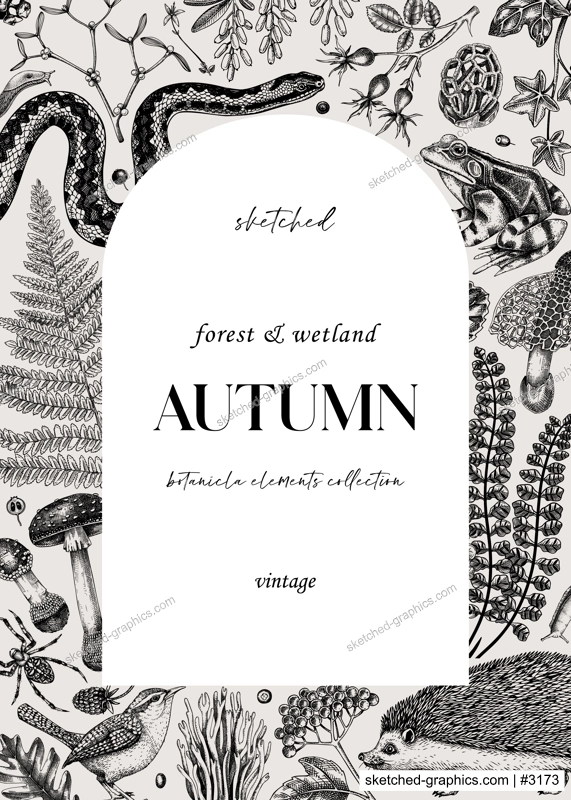 Forest frame. Hand-drawn autumn plants, fall leaves, mushrooms, ferns, woodland animals sketches. Decorative autumn background in vintage style for banner, print, vector greeting card and invitation