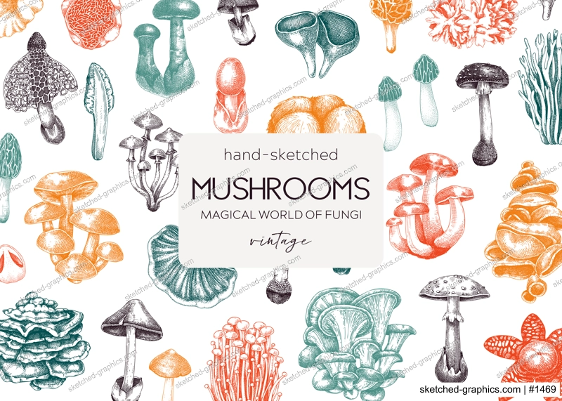 Forest mushrooms background. Edible mushrooms banner. Fungi, healthy food, vegan product sketches. Autumn hand-drawn vector illustration. Engraved design template, card, print, packaging