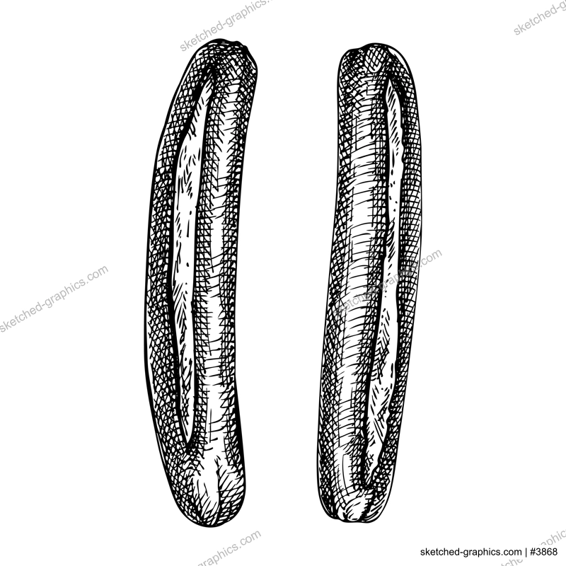 Grilled sausage vintage drawing. German food sketch. Oktoberfest menu design element. Hand drawn fast food illustration for Octoberfest. Traditional German cuisine meal sketch. Frankfurt sausage