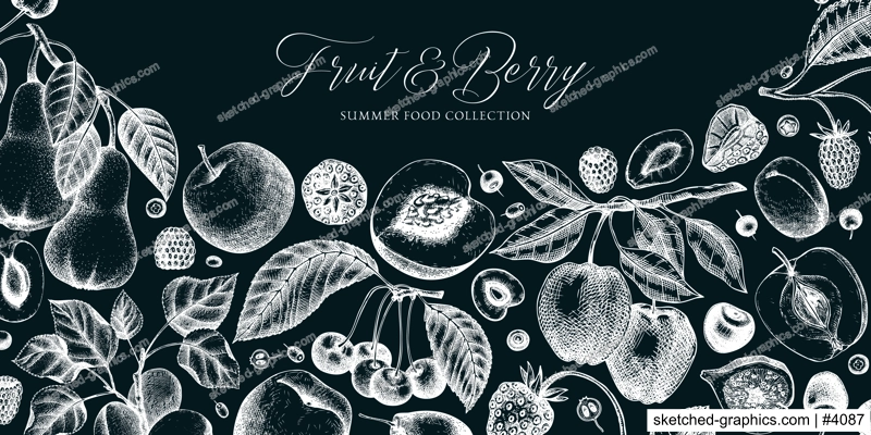 Berry and fruit background on chalkboard. Cherry, plum, apple, peach, apricot, fig, strawberry in sketch style. Hand-drawn fruit tree banner template in vintage style.