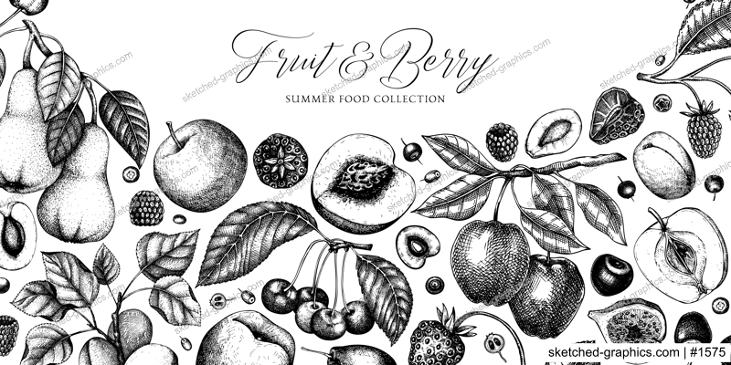 Berry and fruit tree background. Hand drawn cherry, plum, apple, peach, apricot, fig, strawberry in sketch style. Healthy food banner template in vintage style.