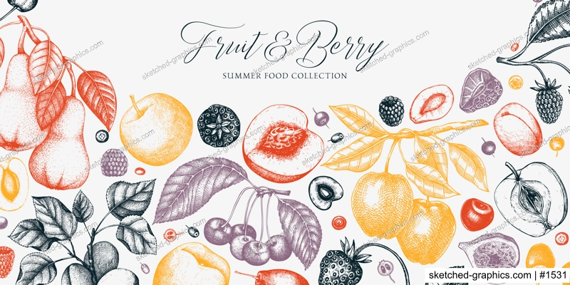 Berry and fruit background in color. Cherry, plum, apple, peach, apricot, fig, strawberry in sketch style. Hand-drawn fruit tree banner template in vintage style.