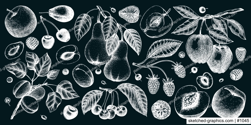 Berry and fruit illustrations set on chalkboard. Hand drawn fruit trees - cherry, plum, apple, peach, apricot, raspberry, strawberry in sketch style. Healthy food drawing in vintage style.