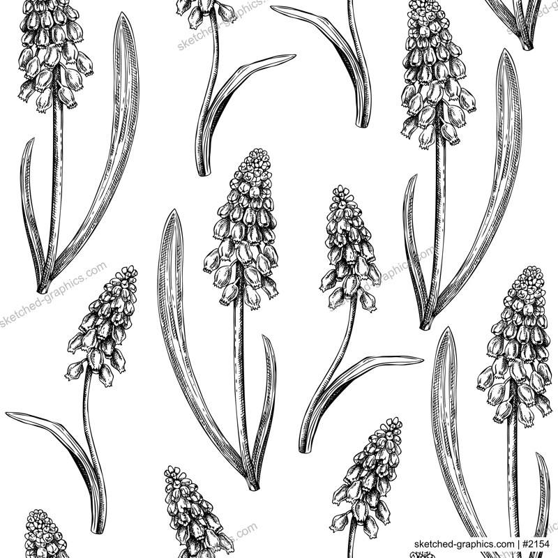 Hand-drawn grape hyacinth background design. Vintage woodland flowers sketches. Seamless spring pattern. Forest plant and wild flowers illustration for print. Vintage muscari decorative backdrop.