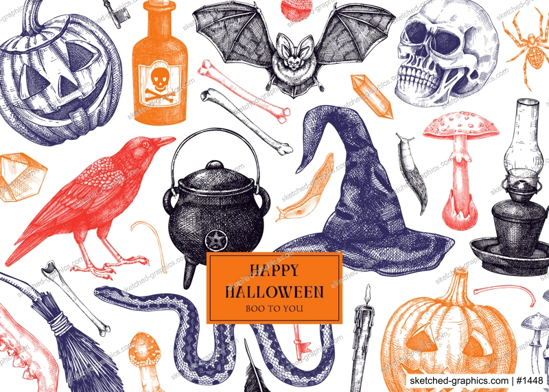 Halloween banner in color. Hand drawn vector illustration. Skulls, bones, pumpkin, poisonous mushrooms, snakes, raven, witch hat sketches. Autumn holiday design. Vintage Halloween party invitation