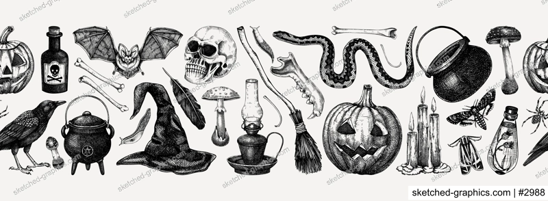 Vintage Halloween vector border. Skull, bones, pumpkin, poisonous mushrooms, snakes, raven sketches. Hand drawn witchcraft background. Seamless pattern for magic design, decoration, print