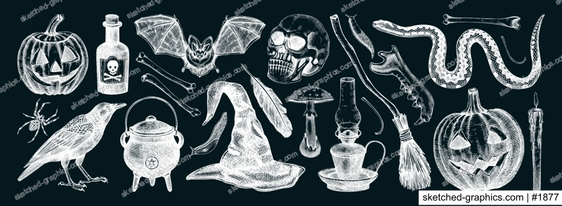 Halloween vector illustrations set on chalkboard. Skull, bones, pumpkin head, mushrooms, snakes, raven sketches. Hand drawn witchcraft and magic element for Halloween design, print, decoration
