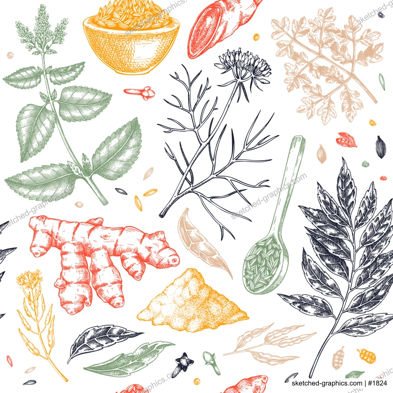 herb and spice seamless pattern. Indian food background. Curry, cumin, mustard, turmeric, coriander, cloves sketches. Kitchen spices hand-drawn vector illustration. NOT AI generated