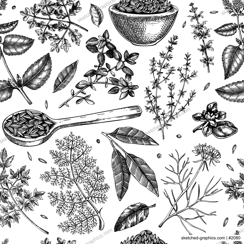 Herb and spice seamless pattern. Middle Eastern food background. Parsley, thyme, cumin, laurel, mint, sage, cilantro sketch. Kitchen spices hand-drawn vector illustration. NOT AI generated