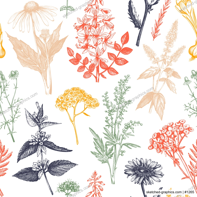 Botanical background with hand drawn spices and herbs. Decorative colorful backdrop with vintage medicinal plants sketches. Herbal seamless pattern.