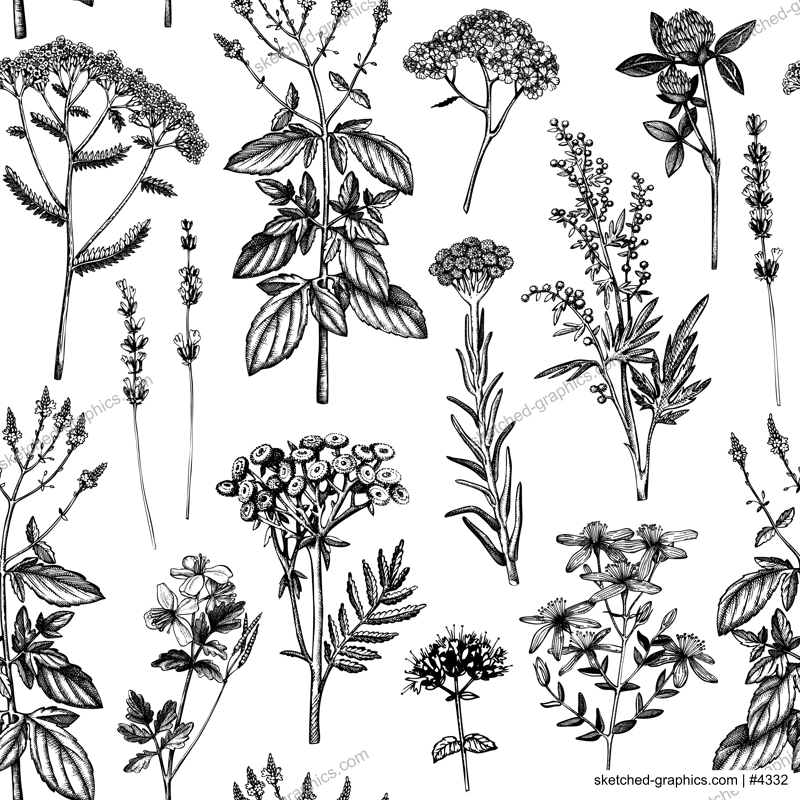 Botanical background with hand drawn spices and herbs. Decorative colorful backdrop with vintage medicinal plants sketches. Herbal seamless pattern. 