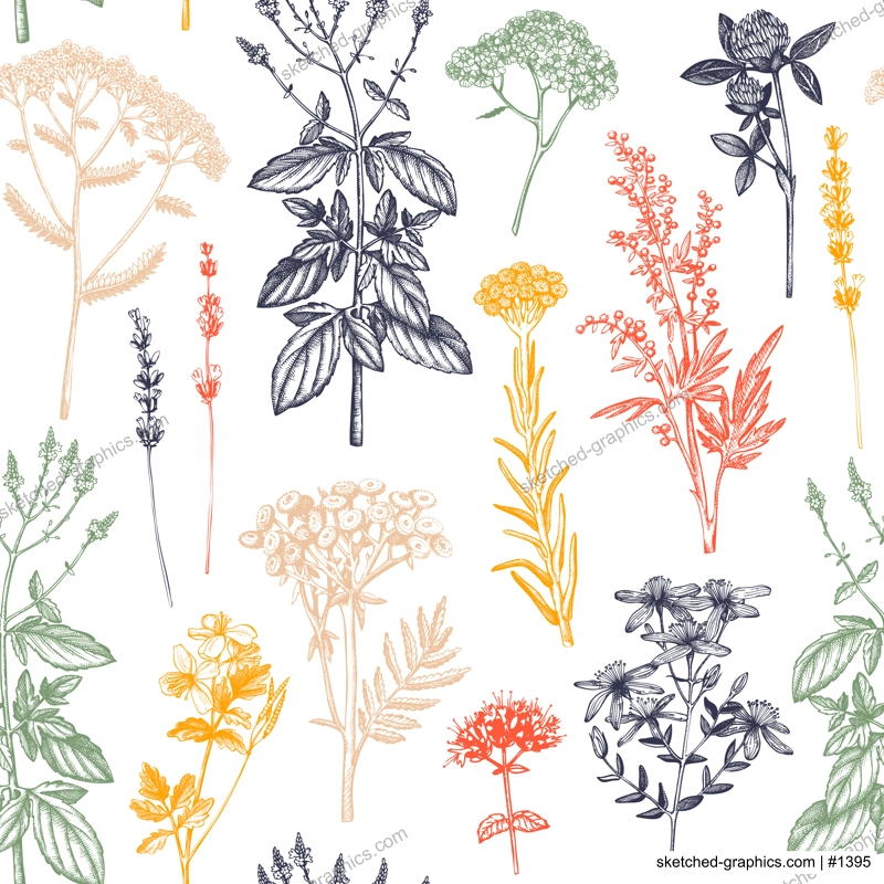 Botanical background with hand drawn spices and herbs. Decorative colorful backdrop with vintage medicinal plants sketches. Herbal seamless pattern. 