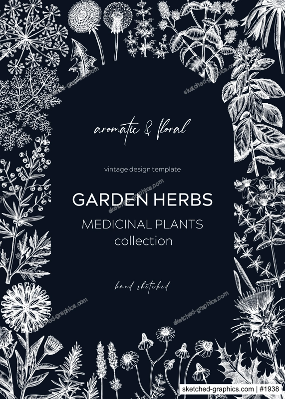 Vintage herbs card design on chalkboard. Aromatic plants frame. Herbal tea ingredients. Botanical design with hand drawn medicinal herbs for cosmetics or herbal medicine