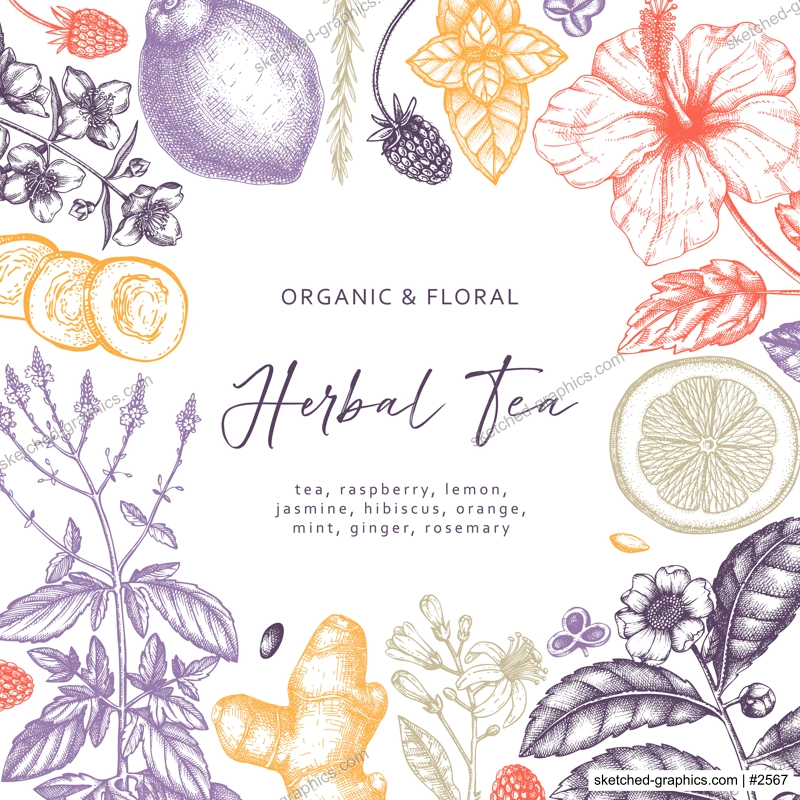 Hand sketched herbal tea ingredients design. Vintage herbs, leaves, flowers, fruits hand drawings background. Perfect for recipe, menu, label, packaging. Herbal tea template. Botanical illustration.