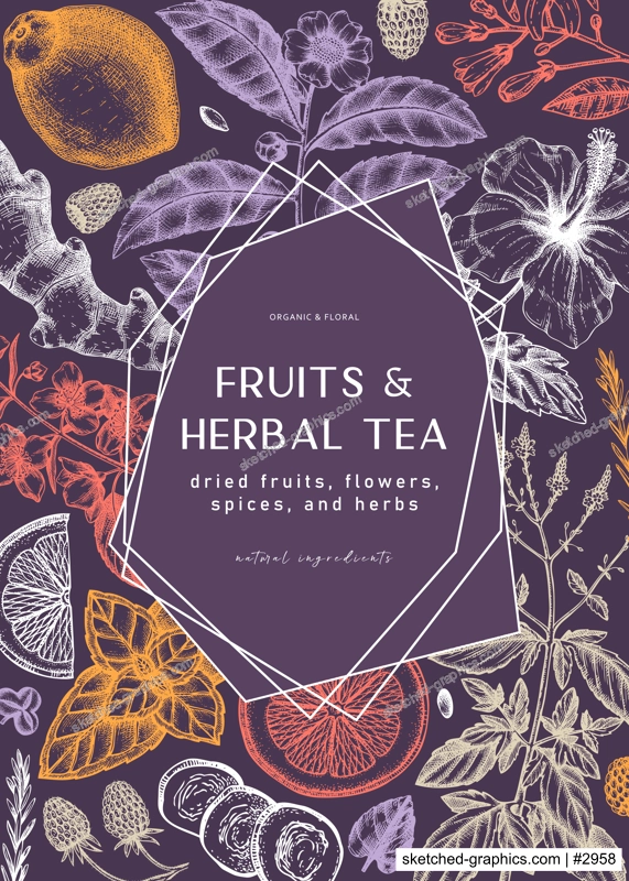 Hand sketched herbal tea ingredients frame. Vintage herbs, leaves, flowers, fruits hand drawings design. Perfect for recipe, menu, label, packaging. Herbal tea template. Botanical illustration.