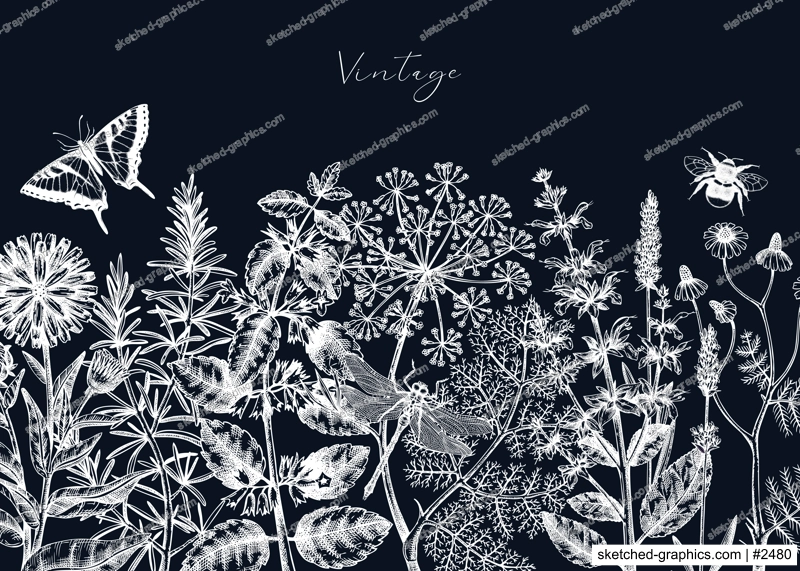 Vector herbs, flowers, weeds, meadows background. Aromatic plants vintage banner. Medicinal herb sketches. Botanical design for cosmetics, perfumery, packaging. Herbal tea ingredients on chalkboard