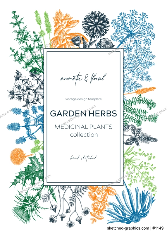 Vintage herb card or invitation. Aromatic plants botanical design. Herbal tea ingredients. Hand drawn medicinal herbs for cosmetics, perfumery, herbal medicine. Floral wreath