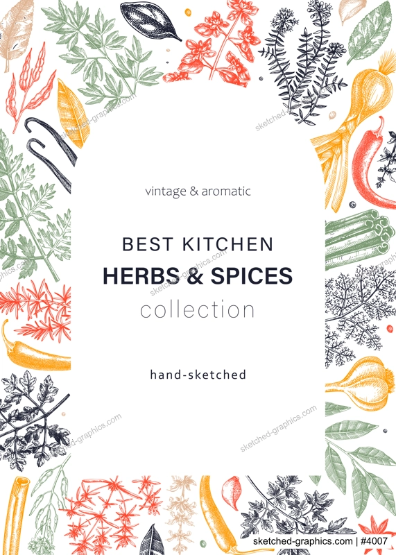 Hand-drawn herbs and spices vector card in color. Hand-sketched food illustration. Aromatic plant drawings. Kitchen herbs and spice frame template in sketched style for packaging, menu, banners