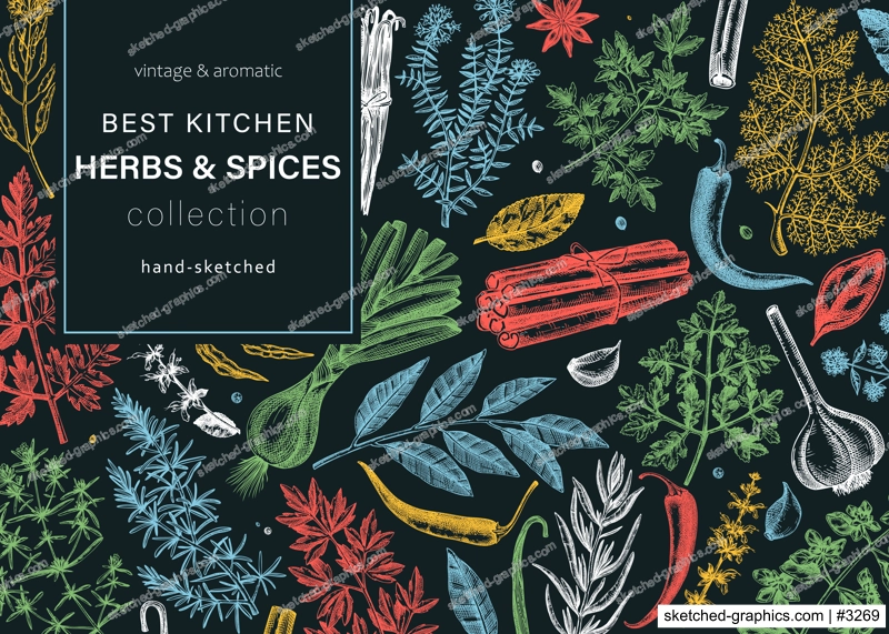 Hand-drawn herbs and spices vector banner. Hand-sketched food illustration. Vintage aromatic plants hand-drawing. Kitchen herbs and spice frame template in sketched style. Menu design on chalkboard